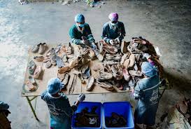 Footwear Neutrality Program - Workers sorting footwear waste